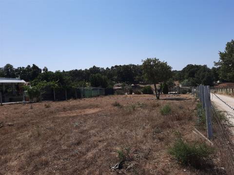 Venda de Terreno para construção no Sabugal