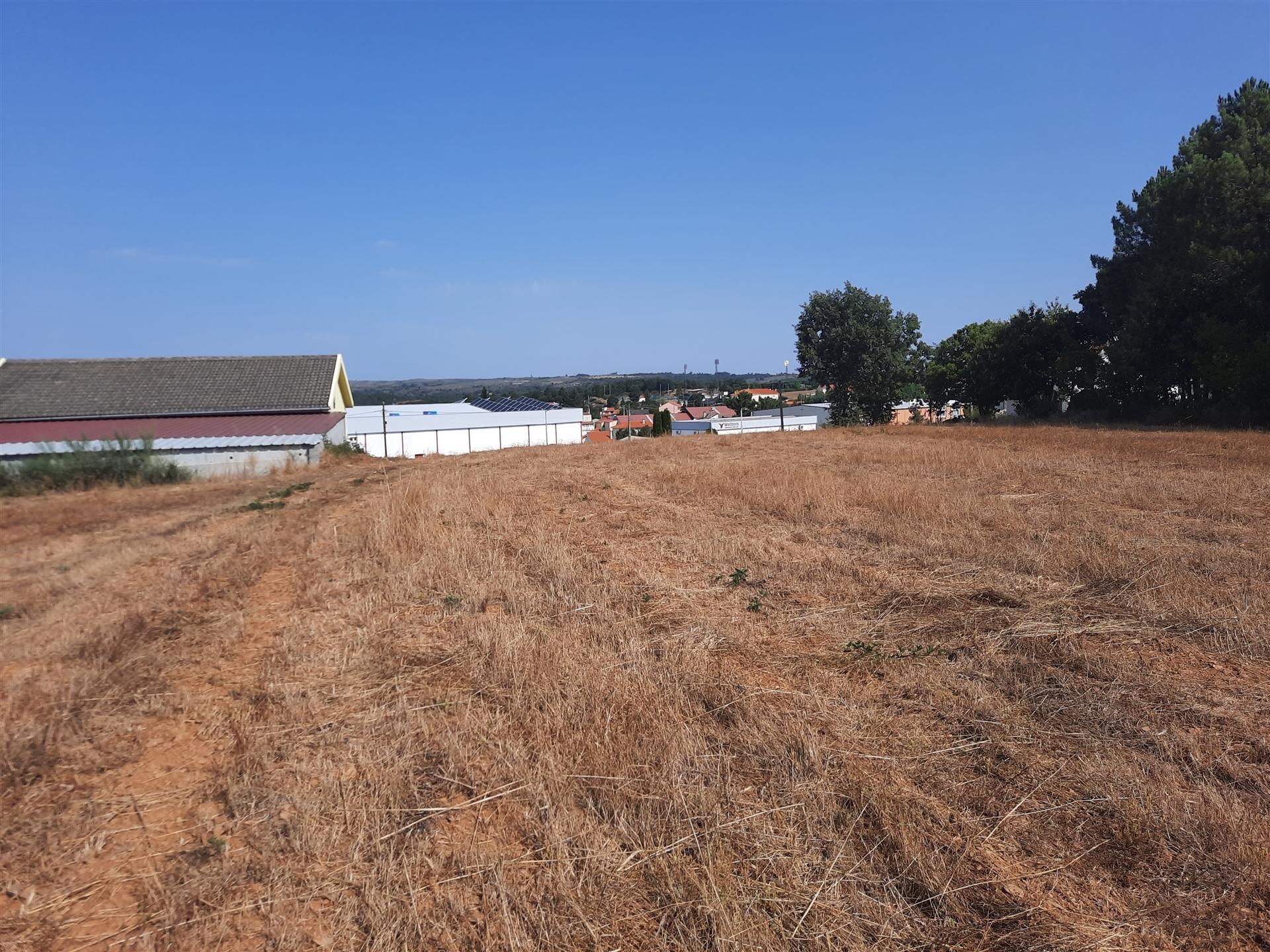 Venda Terreno Urbano Construção Sabugal