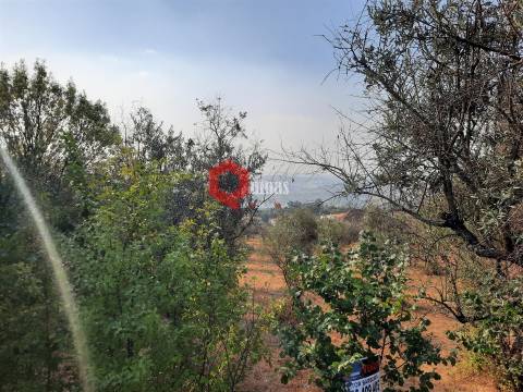 VENDA  Terreno para construção Fornos de Algodres