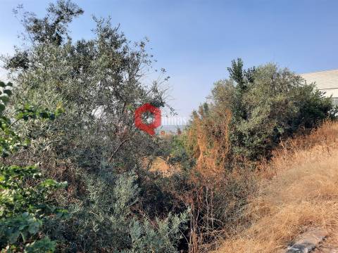 VENDA  Terreno para construção Fornos de Algodres