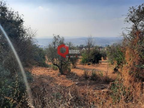 VENDA  Terreno para construção Fornos de Algodres