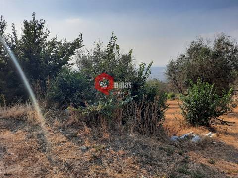 VENDA  Terreno para construção Fornos de Algodres