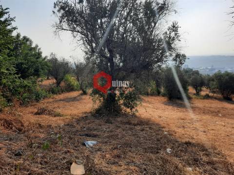 VENDA  Terreno para construção Fornos de Algodres