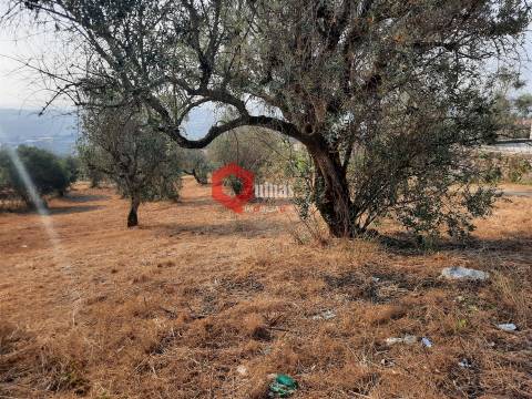 VENDA  Terreno para construção Fornos de Algodres