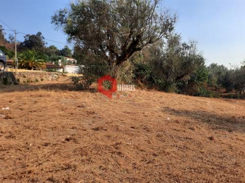 VENDA  Terreno para construção Fornos de Algodres