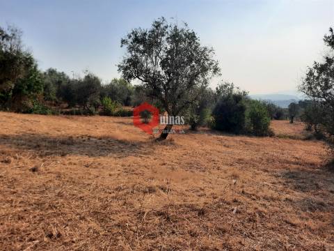 VENDA  Terreno para construção Fornos de Algodres