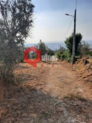 VENDA  Terreno para construção Fornos de Algodres