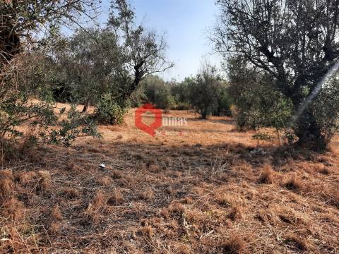 VENDA  Terreno para construção Fornos de Algodres