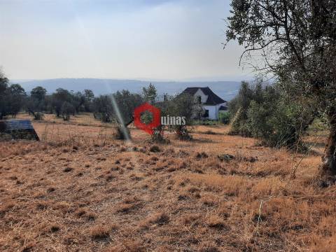 VENDA  Terreno para construção Fornos de Algodres
