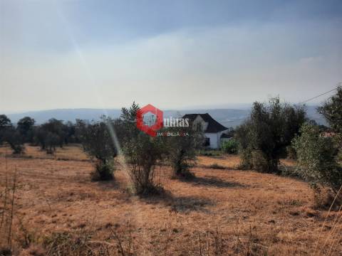 VENDA  Terreno para construção Fornos de Algodres