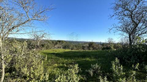 Terreno Rústico com área de 4.800 m2 com viabilidade de construção - Assentiz