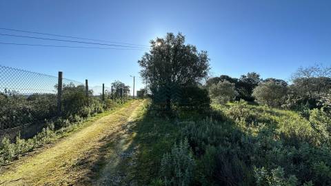 Terreno Rústico com área de 4.800 m2 com viabilidade de construção - Assentiz