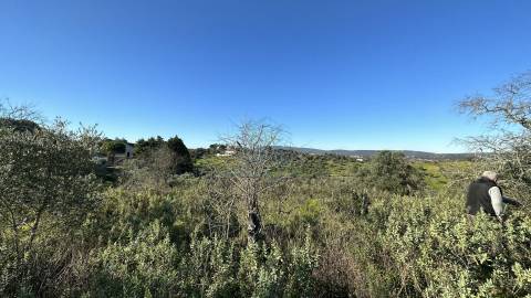 Terreno Rústico com área de 4.800 m2 com viabilidade de construção - Assentiz