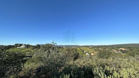 Terreno Rústico com área de 4.800 m2 com viabilidade de construção - Assentiz