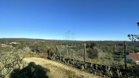 Terreno Rústico com área de 4.800 m2 com viabilidade de construção - Assentiz