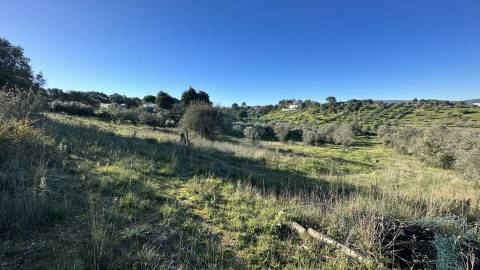 Terreno Rústico com área de 4.800 m2 com viabilidade de construção - Assentiz