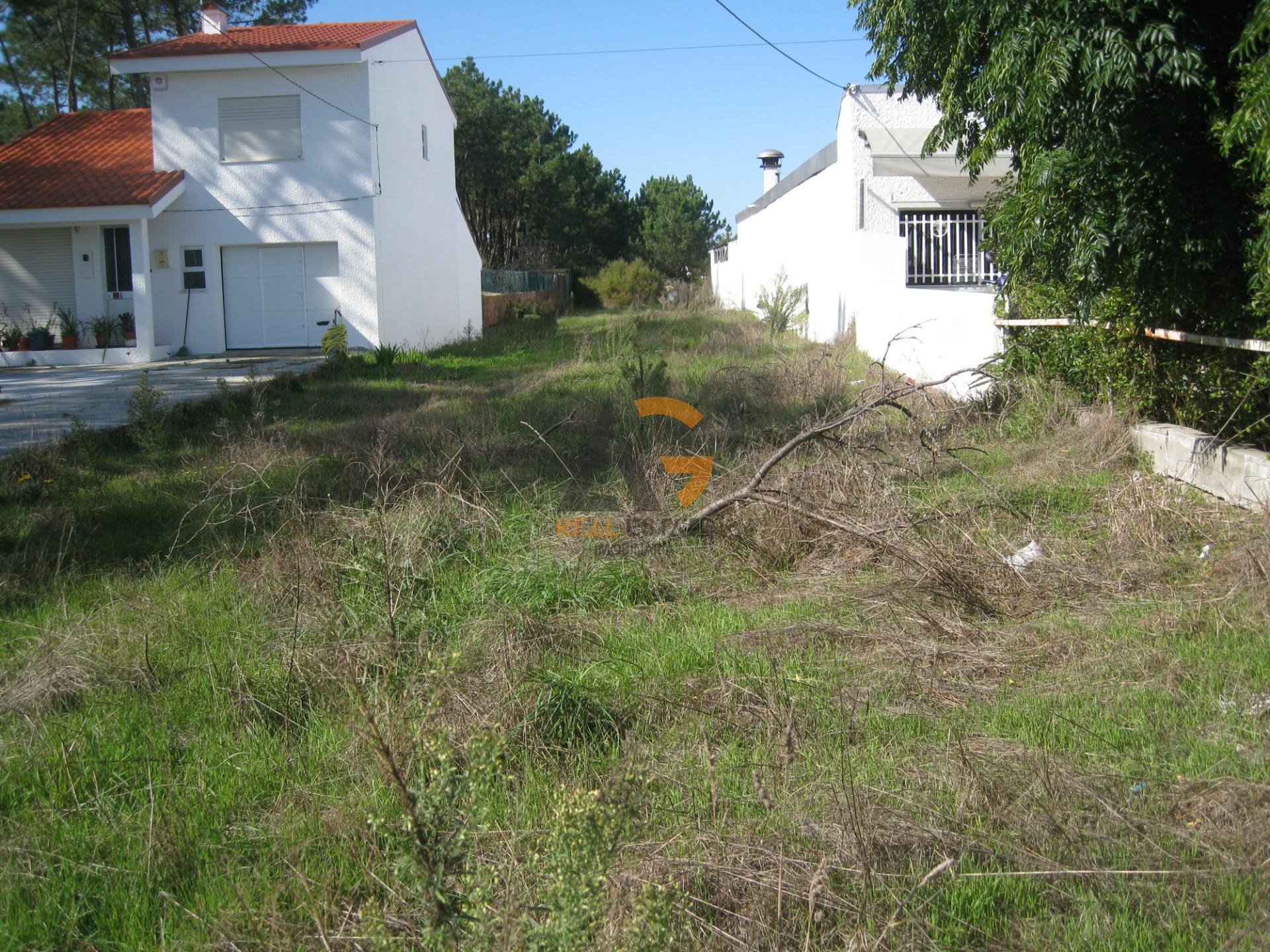 Terreno à venda em Gafanha da Encarnação!