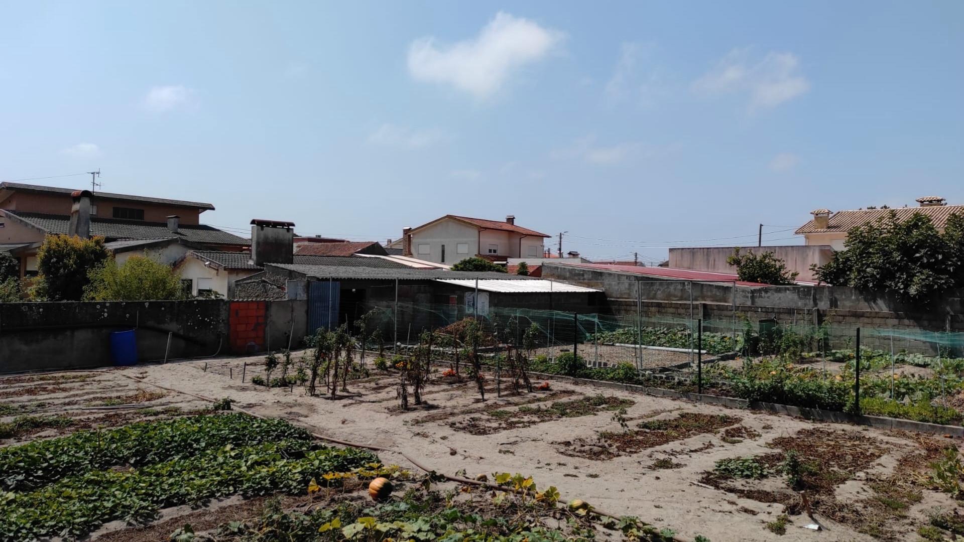 Terreno Gafanha da Nazaré com frente de 26 mts