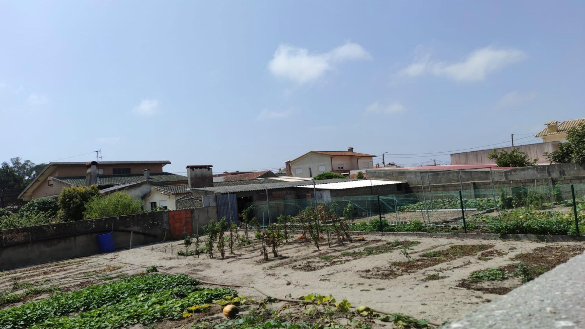 Terreno Gafanha da Nazaré com frente de 26 mts