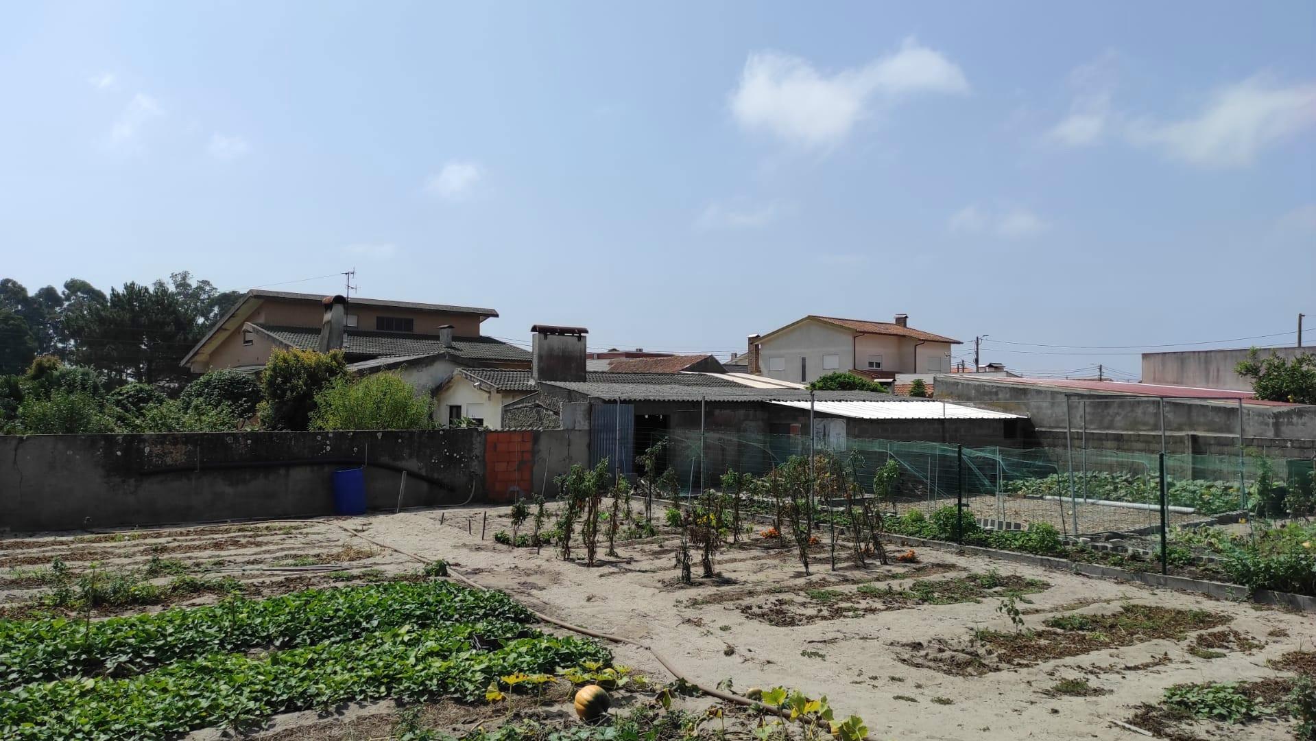 Terreno Gafanha da Nazaré com frente de 26 mts