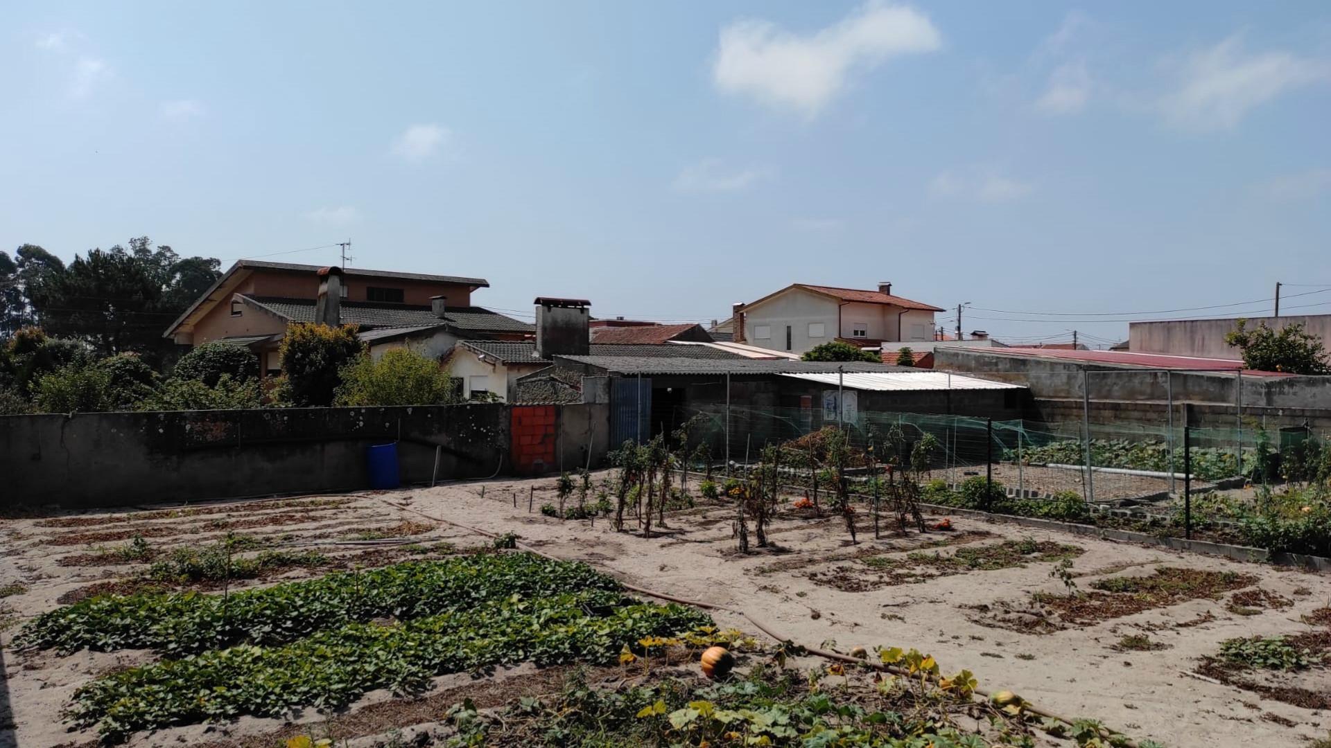 Terreno Gafanha da Nazaré com frente de 26 mts