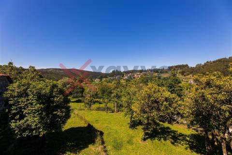 Venda de Quinta Histórica em Soutelo, Vieira do Minho