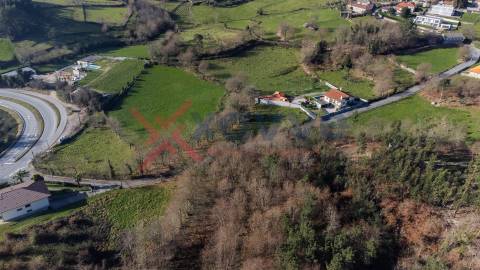 Terreno Rústico - Portela, Póvoa de Lanhoso