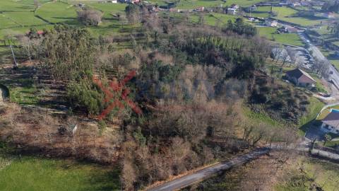 Terreno Rústico - Portela, Póvoa de Lanhoso