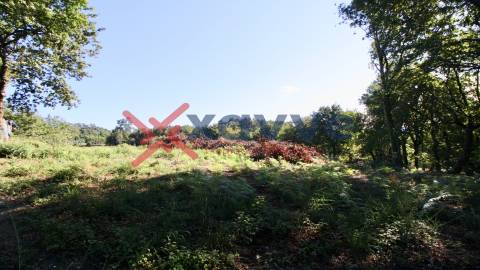 Terreno Rústico - Póvoa de Lanhoso