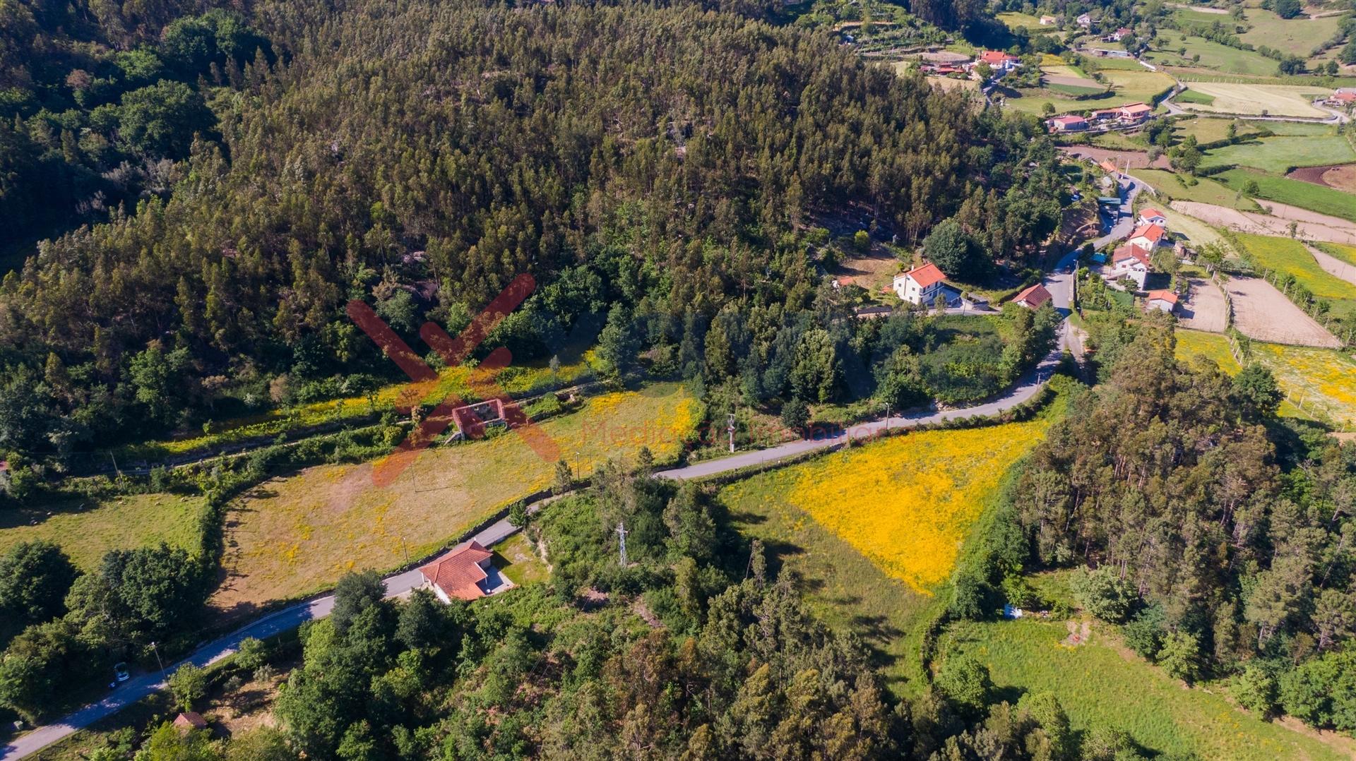 Ruína c/ Terreno de 6ha - Mosteiro, Vieira do Minho