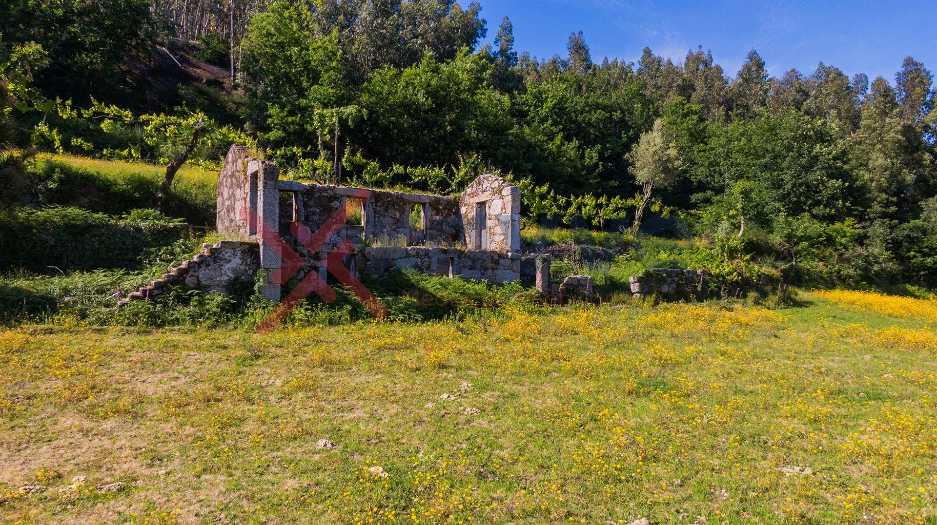 Ruína c/ Terreno de 6ha - Mosteiro, Vieira do Minho