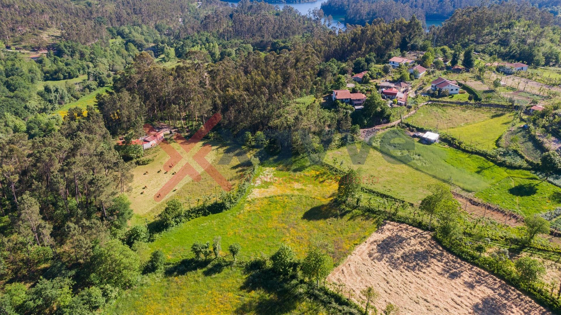 Terreno c/ 15.000m2 - Mosteiro, Vieira do Minho