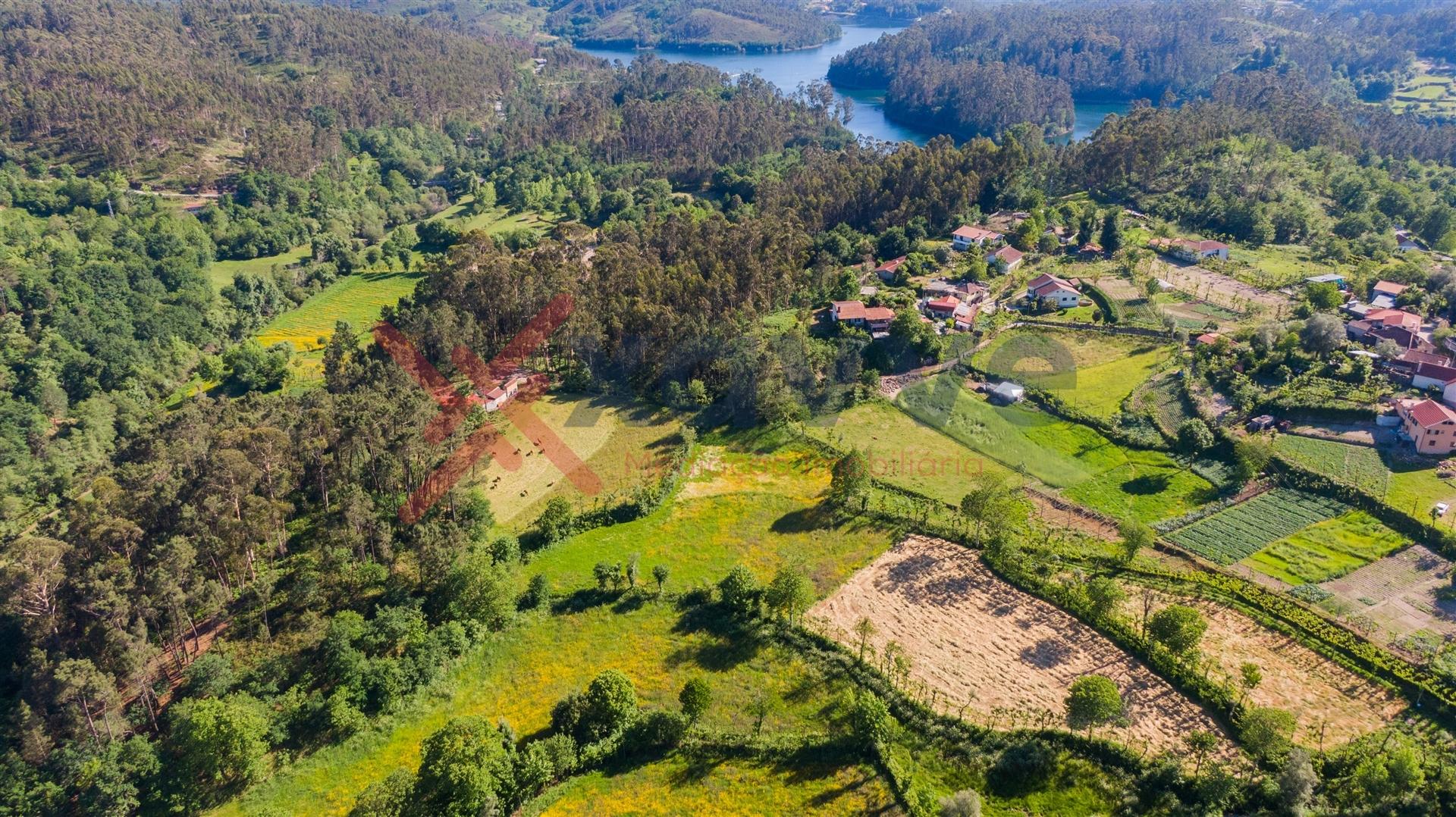 Terreno c/ 15.000m2 - Mosteiro, Vieira do Minho