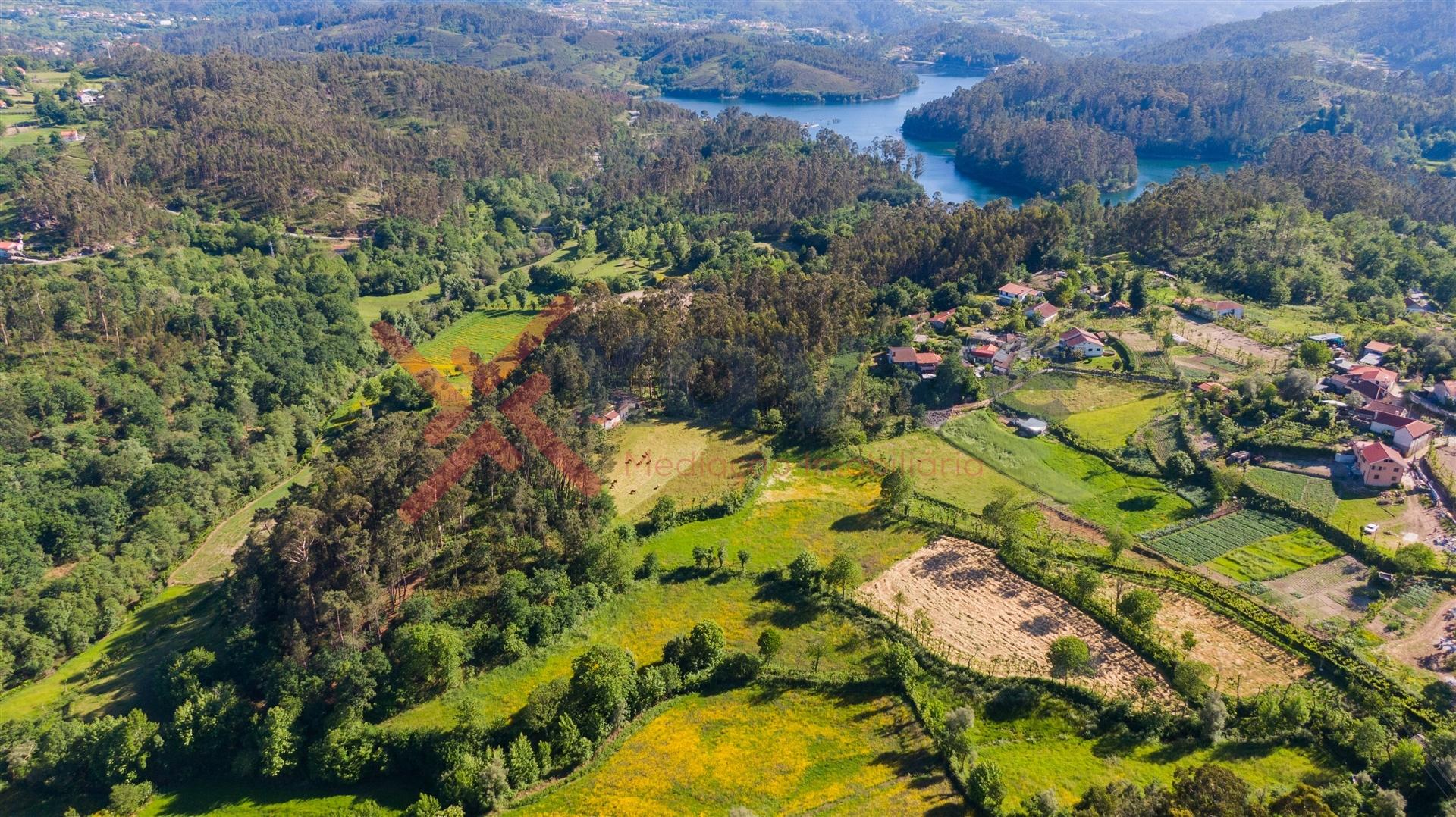 Terreno c/ 15.000m2 - Mosteiro, Vieira do Minho