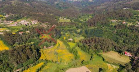 Terreno c/ 15.000m2 - Mosteiro, Vieira do Minho