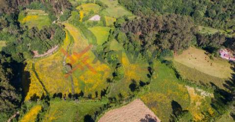 Terreno c/ 15.000m2 - Mosteiro, Vieira do Minho