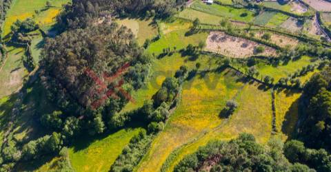 Terreno c/ 15.000m2 - Mosteiro, Vieira do Minho
