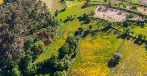 Terreno c/ 15.000m2 - Mosteiro, Vieira do Minho