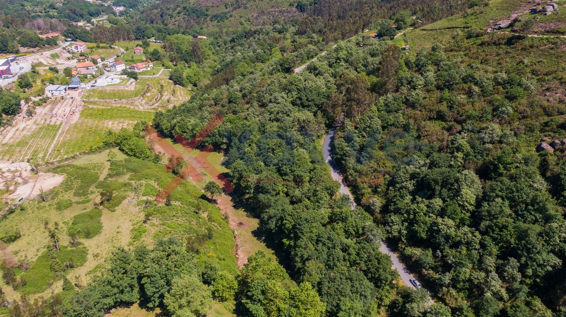 Terreno c/ 9291 m2 - Tabuaças,  Vieira do Minho