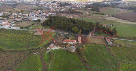 Terreno - Torrados, Felgueiras