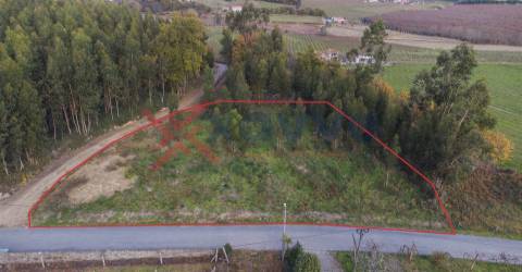 Terreno - Torrados, Felgueiras