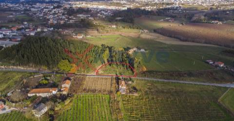 Terreno - Torrados, Felgueiras