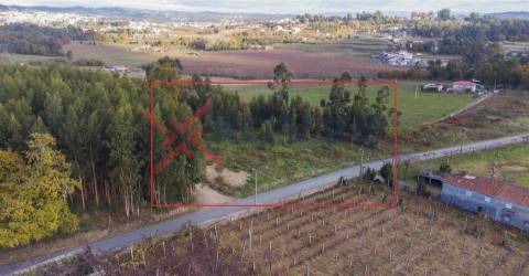 Terreno - Torrados, Felgueiras