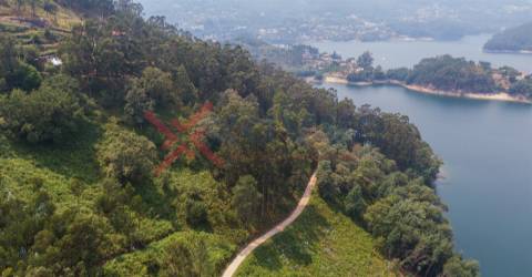 Terreno c/ 3900m2 - Vieira do Minho, Braga