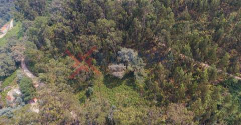 Terreno c/ 3900m2 - Vieira do Minho, Braga