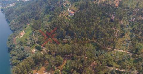 Terreno c/ 3900m2 - Vieira do Minho, Braga