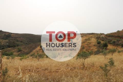 Moradia T2 para restaurar na Serra de Tavira