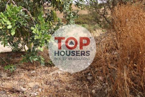 Moradia T2 para restaurar na Serra de Tavira