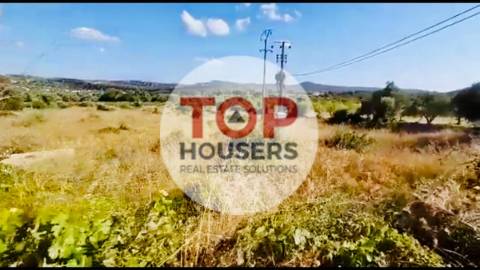 Terreno com Ruína e Projecto Aprovado - Loulé