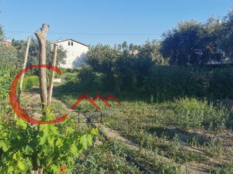 Terreno Para Construção T4 Venda em Boidobra,Covilhã